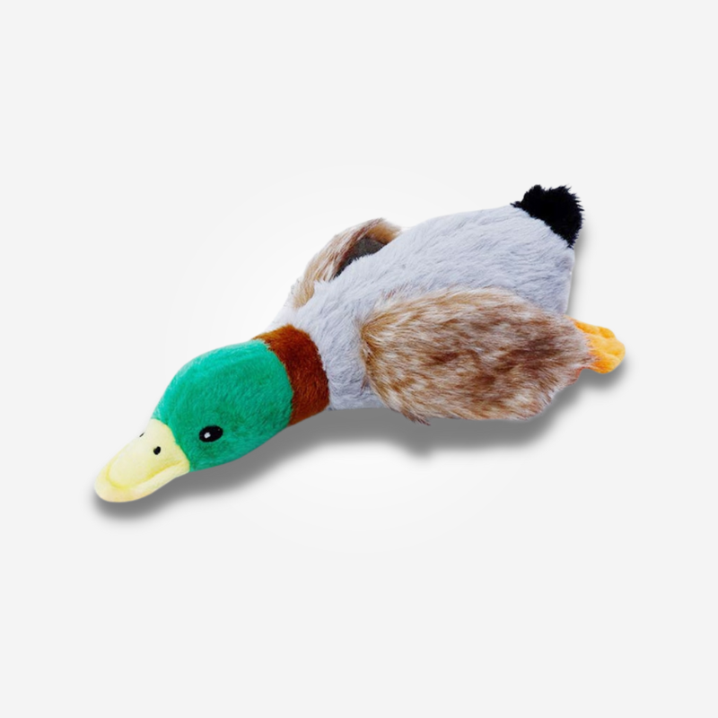 Urso De Pelúcia Para Pets Formato Pato