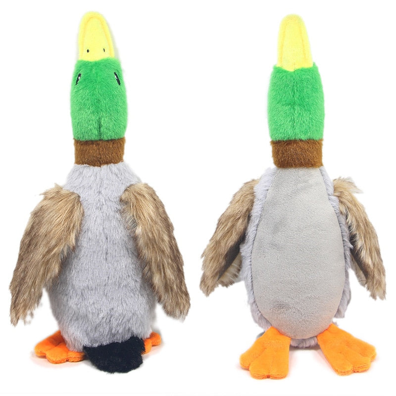 Urso De Pelúcia Para Pets Formato Pato